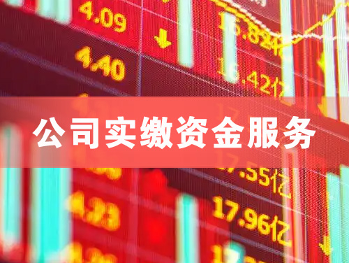 鄂尔多斯公司实缴资金服务