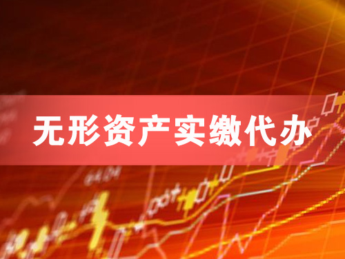 鄂尔多斯无形资产实缴资本代办