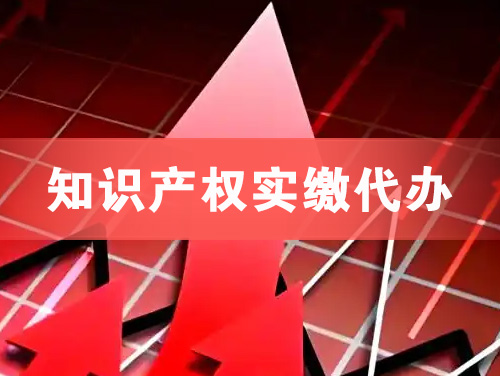 鄂尔多斯知识产权实缴资本代办